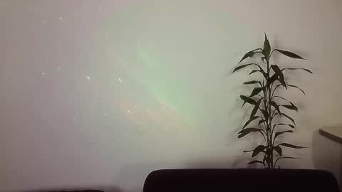 Snapshot of _yourcherrybomb chatting on November 21, 2025, 2:54 am _yourcherrybomb online show from November 21, 2025, 2:54 am