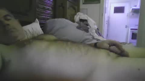 a203530 online show from December 16, 2025, 11:48 am