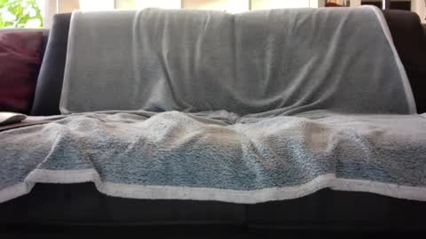 Snapshot of a_nice_dick_77 chatting on February 7, 2025, 10:08 am a_nice_dick_77 online show from February 7, 2025, 10:08 am