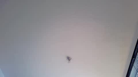 Martina online show from January 12, 2025, 1:48 pm