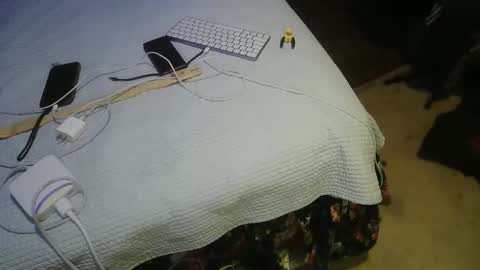 aCACiAs2022 online show from March 16, 2026, 2:17 am