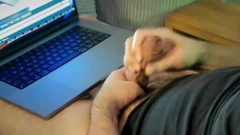 Snapshot of achtinch chatting on January 15, 2026, 7:24 am ACHTINCH online show from January 15, 2026, 7:24 am