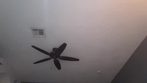 OF  online show from January 23, 2025, 12:04 am