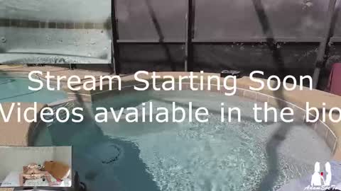 Snapshot of adamevetv chatting on March 2, 2025, 3:27 pm Adam And Eve online show from March 2, 2025, 3:27 pm