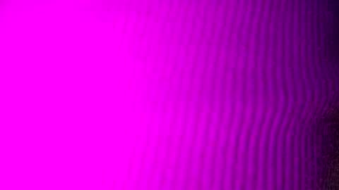 adamllamas online show from September 15, 2025, 4:56 am