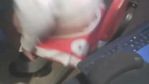 adamsny online show from January 20, 2025, 7:04 am