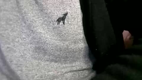 adarkvid420tj online show from February 18, 2026, 6:20 am