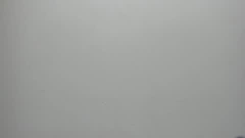 adbel sady online show from January 17, 2025, 11:17 am