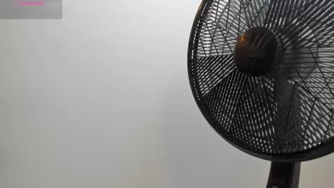 adbel sady online show from October 28, 2025, 11:14 am