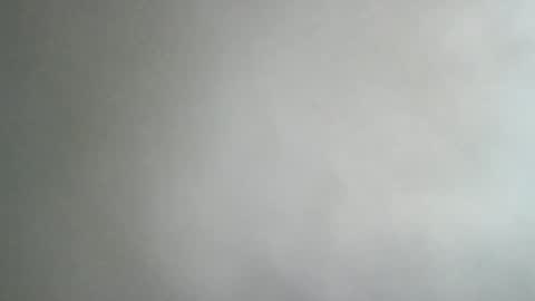 Snapshot of adi2019 chatting on January 8, 2025, 11:54 am adi2019 online show from January 8, 2025, 11:54 am