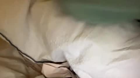 adriiiii online show from January 24, 2025, 8:11 pm