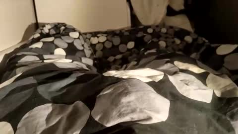 adrisex2002 online show from December 28, 2024, 8:58 am