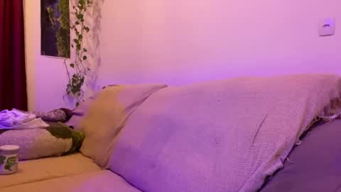 Luci online show from July 16, 2026, 2:06 am
