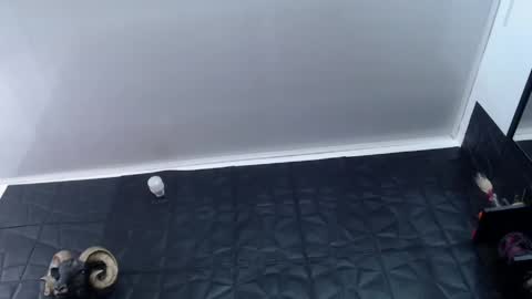 Snapshot of agata_darkness chatting on May 13, 2026, 2:03 pm Miss Agata online show from May 13, 2026, 2:03 pm