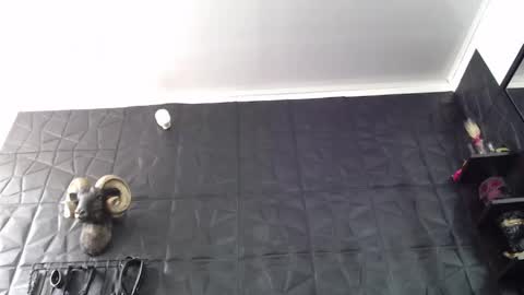 Snapshot of agata_darkness chatting on May 25, 2026, 3:29 pm Miss Agata online show from May 25, 2026, 3:29 pm
