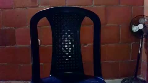 aisha koswell3 online show from January 11, 2026, 9:53 pm