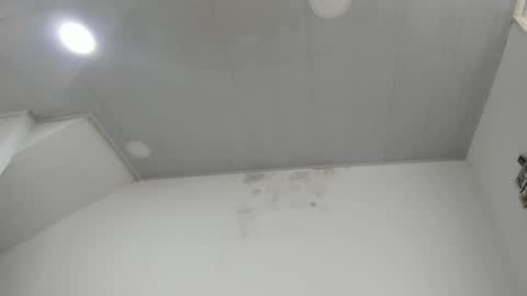 Snapshot of aisha_latina chatting on December 19, 2024, 1:40 pm Katie online show from December 19, 2024, 1:40 pm