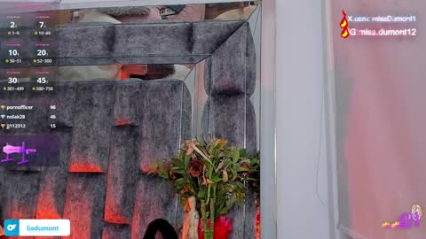 Snapshot of aivadumont chatting on December 27, 2024, 2:14 am Queen Dumont online show from December 27, 2024, 2:14 am