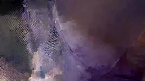 aj297914 online show from October 18, 2025, 5:54 am