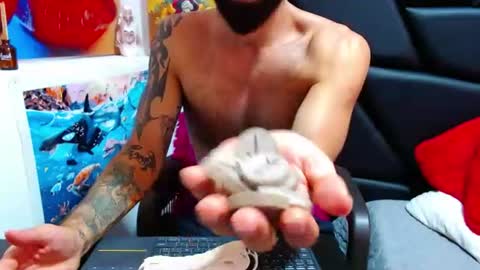 akiles online show from June 11, 2026, 11:58 pm