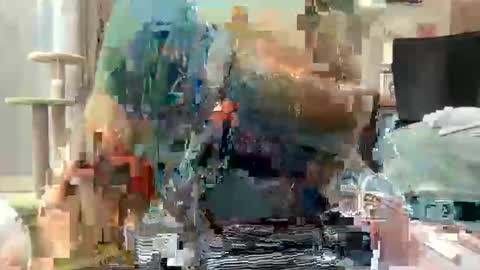 Snapshot of akirazayy chatting on March 1, 2026, 7:54 am Akira Zay online show from March 1, 2026, 7:54 am