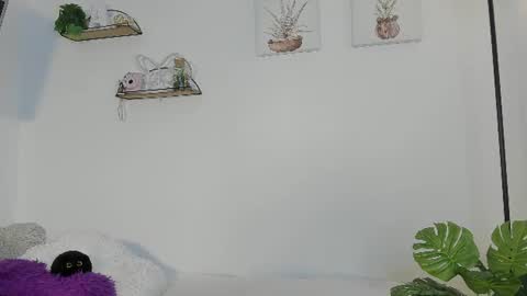   online show from June 24, 2026, 10:47 am
