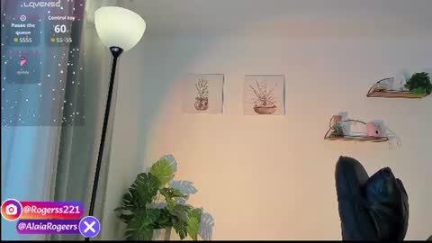   online show from July 25, 2026, 11:41 am