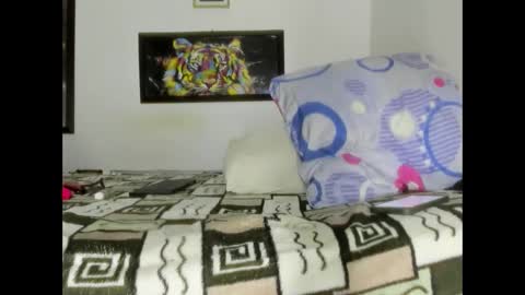 Snapshot of alan_sunlight chatting on December 16, 2024, 8:26 pm alan sunlight online show from December 16, 2024, 8:26 pm