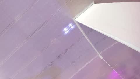 Maeve  online show from March 2, 2025, 10:14 am