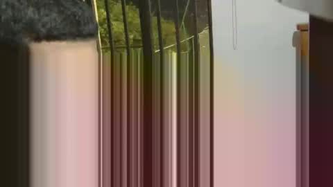 Snapshot of albajadmamad_01 chatting on February 3, 2025, 11:58 pm josevcam online show from February 3, 2025, 11:58 pm