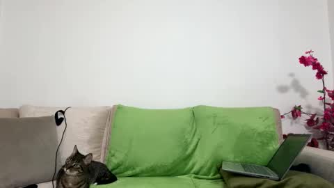 alejo__twinkboy online show from January 30, 2025, 8:11 am