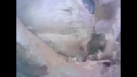 Snapshot of aleksandarcoabatica chatting on October 22, 2025, 8:58 am aleksandarcoabatica online show from October 22, 2025, 8:58 am