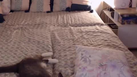 Sandra online show from February 28, 2025, 2:20 pm