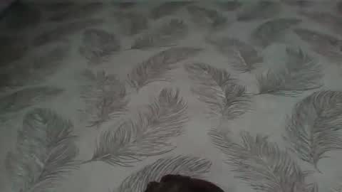 Snapshot of aletta_oushen chatting on January 12, 2025, 11:17 am Aletta Oushen online show from January 12, 2025, 11:17 am