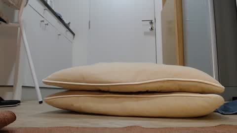 Nicha online show from November 5, 2025, 3:06 am