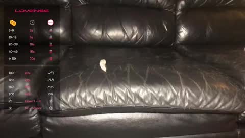 Alex  John online show from December 21, 2024, 5:14 am