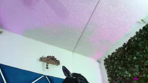 Alexa online show from March 27, 2026, 2:28 am