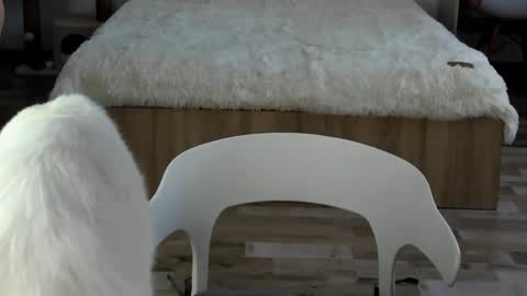 Snapshot of alexarti chatting on February 19, 2026, 4:30 am Alex online show from February 19, 2026, 4:30 am