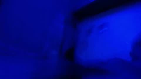alexboy5014 online show from May 17, 2026, 1:25 am
