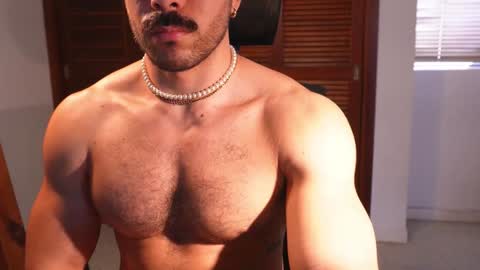 Snapshot of alexdimartino chatting on December 6, 2024, 5:22 pm Alex Dimartino online show from December 6, 2024, 5:22 pm