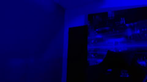 alexgiraldo__ online show from May 3, 2026, 11:05 am