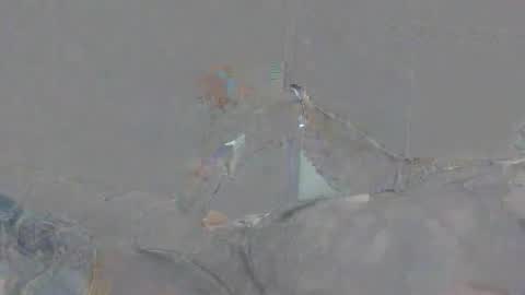 Alexsmith9876 online show from April 2, 2026, 2:15 pm