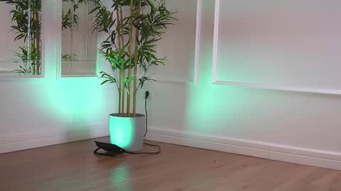 alexxiskye online show from January 6, 2026, 6:28 am