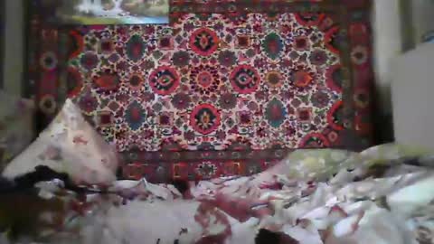 alferezsolvajo online show from July 22, 2026, 7:11 am