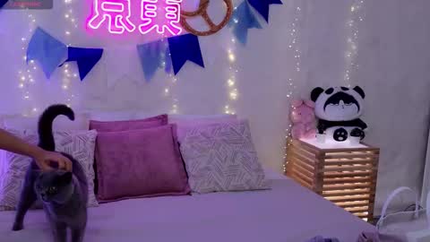 Snapshot of alice_charmy chatting on September 29, 2025, 5:23 am Alice in Wonderland online show from September 29, 2025, 5:23 am