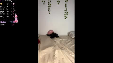 Snapshot of alice_lacroux chatting on February 25, 2025, 11:08 am Alice online show from February 25, 2025, 11:08 am