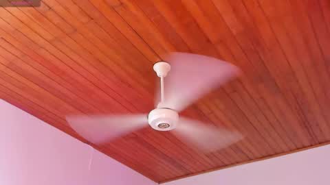  ALICEKIING online show from December 16, 2025, 3:00 am