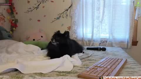 Snapshot of aliceriverscam chatting on February 5, 2026, 9:30 pm Alice Rivers ---- Enter my public Discord- online show from February 5, 2026, 9:30 pm