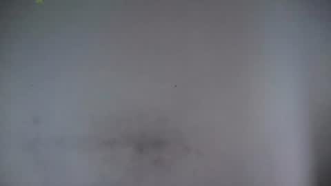 Alice online show from July 14, 2026, 12:44 pm