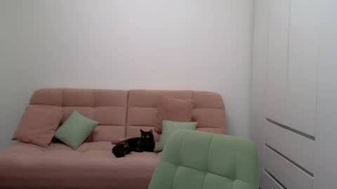 alicianoveli online show from February 24, 2025, 11:43 am